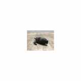 Scheibenwaschpumpe Vorne 6434C9 Opel Combo Van 1.3 CDTI 16V ecoFlex (A13FD) 2012
