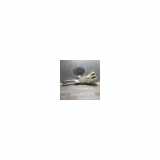 Scheibenwaschbehälter 8531542150 Toyota RAV4 (A2) Geländewagen 2.0 D-4D 16V 4x4 (1CD-FTV) 2002