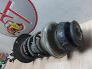 Federbein Links Vorne 543029566R Dacia Lodgy (JS) Großraumlimousine 1.3 TCE 130 16V (H5H-470(H5H-B4))