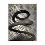 Schraubenfeder Hinten 550203802R Dacia Duster (SR) SUV 1.5 Blue dCi 115 (K9K-U8) 2021