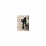 Kombischalter Links 8P1941531AA5PR Audi A3 Sportback (8PA) Schrägheck 5-drs 1.9 TDI (BKC) 2005
