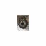 Bremstrommel Links Hinten 1680868 Ford Ka II Schrägheck 1.2 (Euro 5)) 2009