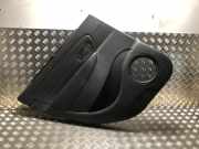 T?rverkleidung Links Hinten Renault Sc?nic III (JZ) Gro?raumlimousine 1.5 dCi 110 (K9K-836(K9K-J8))