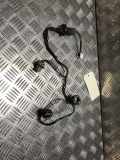 Kennzeichenbeleuchtung RECHTS 265518H300 Nissan X-Trail (T30) SUV 2.2 Di 4x4 (YD22ETi)