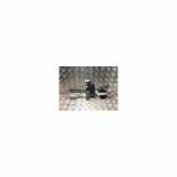 Fensterheber Elektr. Links Vorne 807211440R Dacia SANDERO 2 PHASE 2 1.0i - 12V SCE 75 2020