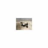 Kraftstoffpumpe DOMPELPOMP 1074281 Ford STREET CABRIOLET 1.6i - 8V 2004