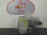 Türschloss Rechts Vorne 7701474906 Renault Megane Scénic (JA)