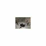 Scheibenwischer Mechanisch Vorne Peugeot Expert (222/224) Van 1.9D (DW8(WJZ)) 2001
