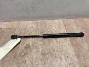Gasdruckfeder Hinten 8200119497 Renault Megane II (BM/CM) Schrägheck 1.9 dCi 115 (F9Q-800)