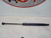 Gasdruckfeder Vorne Renault Twingo II (CN) Schr?gheck 3-drs 1.2 16V (D4F-770)