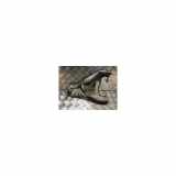 Querlenker Rechts Vorne 545040280R Dacia Duster (SR) SUV 1.0 TCE 12V LPG (H4D-F4) 2021