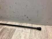 Gasdruckfeder Links Hinten 8200497806 Renault KANGOO 2 PHASE 1