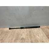 Gasdruckfeder Hinten 51248254281 BMW 3 serie (E46/4) Limousine 320d 16_V (M47N(204D4)) 2003