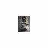 Schraubenfeder Hinten 553301W000 Kia Rio III (UB) Schrägheck 1.2 CVVT 16V (G4LA) 2016