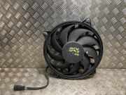 Kühlerlüfter Fiat Scudo (270) Van 2.0 D Multijet (DW10UTED4(RHK))