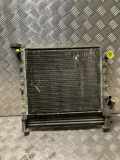 Radiator 7701032542 Renault 5 Super (B/C40) Schr?gheck 1.1 (C1E-750)