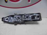 Kennzeichenbeleuchtung LINKS Renault Scénic II (JM) Großraumlimousine 1.9 dCi 120 (F9Q-812)