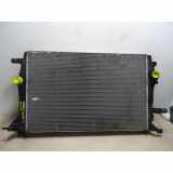 Radiator 214101448R Renault Grand Scénic III (JZ) Großraumlimousine 1.9 dCi 130 FAP (F9Q-N870) 2009