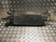 Ladeluftk?hler Citro?n C-Crosser SUV 2.2 HDiF 16V (DW12METED4(4HK)) DW12METED4(4HK)