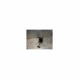 Schaltermechanisch 25117596703 BMW 1 serie (F21) Schrägheck 3-drs 116d 1.5 12V TwinPower (B37-D15A) 2016