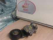 Spannrolle Mechanisch Peugeot 1007 (KM) Schrägheck 3-drs 1.4 HDI (DV4TD(8HZ))