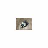 Fensterhebermotor Links Hinten 1K0959703FL05 Volkswagen Golf V (1K1) Schrägheck 1.9 TDI (BRU) 2005 BRU