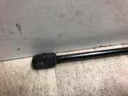 Gasdruckfeder Links Hinten 8717026011 Hyundai SANTA FE 1