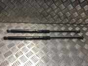 Gasdruckfeder Hinten 00008731S8 Citroën C3 Picasso (SH) Großraumlimousine 1.4 16V VTI 95 (EP3C(8FP))