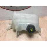 Ausgleichbehälter 217100005R Renault Megane III Coupe (DZ) Schrägheck 3-drs 1.6 Energy dCi 130 (R9M-414) 2014