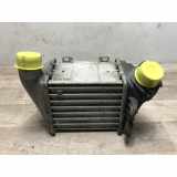 Ladeluftkühler 1E0145805 Volkswagen GOLF 4 CABRIOLET 1.9 TDI - 8V TURBO 1998