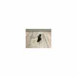 Scheibenwaschpumpe Vorne 1355124 Ford C-Max (DM2) Großraumlimousine 1.8 TDCi 16V (KKDA) 2009