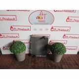 Radiator 8200742598 Renault Clio II (BB/CB) Schrägheck 1.5 dCi 65 (K9K-700) 2600
