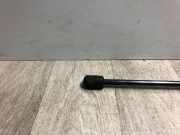 Gasdruckfeder Vorne 51237175020 Mini Mini One/Cooper (R50) Schrägheck 1.6 16V Cooper (W10-B16A)