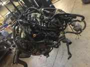 Motor 101029W2AF Nissan Murano (Z50) SUV 3.5 V6 24V 4x4 (VQ35DE)