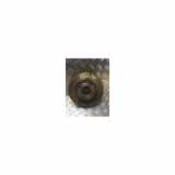 Bremsscheibe Links Vorne 2095058 Ford Fiesta 7 Schrägheck 1.1 Ti-VCT 12V 85 (XYJC) 2018