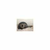 Achsschenkel Rechts Vorne 95534115610 Porsche Cayenne (9PA) SUV 4.5 V8 32V Turbo (M48.50) 2004
