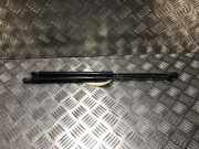 Gasdruckfeder Hinten 904508213R Renault Clio V (RJAB) Schrägheck 5-drs 1.5 Blue dCi 85 (K9K-872)