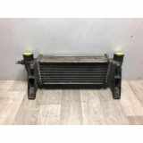 Ladeluftkühler 4548369 Ford 1 PHASE 1 1.8 TDCI - 8V TURBO 2004