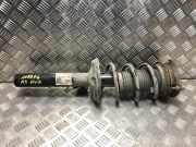 Federbein Links Vorne 5Q0413023DA Audi A3 Sportback (8VA/8VF) Schrägheck 5-drs 1.5 35 TFSI 16V (DADA)