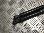 Gasdruckfeder Hinten 5G6827550G Volkswagen Golf VII (AUA) Schrägheck 1.4 TSI BlueMotion Technology 125 16V (CZCA) CZCA