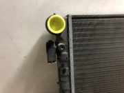 Radiator 1C0121253A Volkswagen New Beetle (1Y7) Cabrio 1.4 16V (BCA) BCA