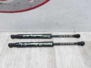 Gasdruckfeder Vorne 654704597R Renault Scénic IV (RFAJ) Großraumlimousine 1.5 Energy dCi 110 (K9K-647)