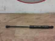 Gasdruckfeder Rechts Hinten Fiat 500C (312) Cabrio 1.2 69 (169.A.4000)