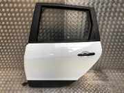 Tür Links Hinten 821017991R Renault Scénic III (JZ) Großraumlimousine 1.5 dCi 85 (K9K-830(K9K-F8))