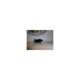 Scheibenwaschpumpe Vorne 0000643475 Citroën C3 Picasso (SH) Großraumlimousine 1.4 16V VTI 95 (EP3(8FS)) 2011