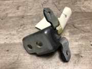 Türscharnier ACHTERDEUR RECHTS Renault Clio IV (5R)