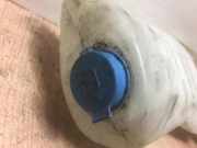 Scheibenwaschbehälter 51723620 Fiat Stilo (192A/B) Schrägheck 1.6 16V (182.B.6000)