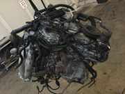 Motor 101029W2AF Nissan Murano (Z50) SUV 3.5 V6 24V 4x4 (VQ35DE)