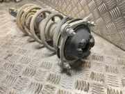 Federbein Links Vorne Audi A6 Avant (C7) Kombi 2.0 TDI 16V (DDCB)