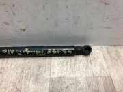 Gasdruckfeder Links Hinten 8200385560 Renault Twingo II (CN) Schrägheck 1.5 dCi 75 (K9K-820)